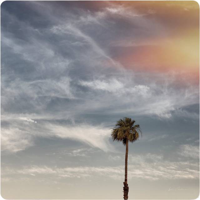 Sunny California Dreams by Andre Eichman Wrapped Canvas Painting Print (91cm H x 91cm W x 3.8cm D)