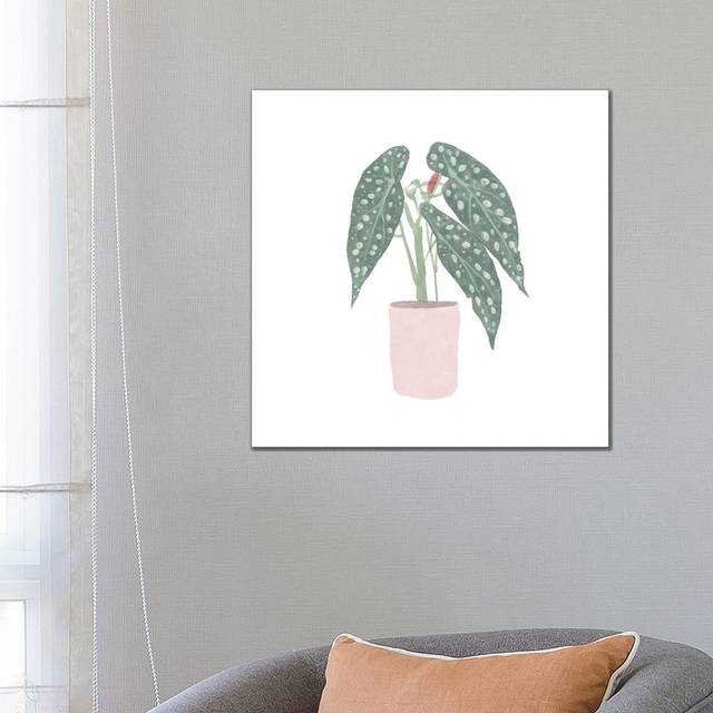 Polka Dot Begonia V by Bannarot - Wrapped Canvas Graphic Art (66.04cm H x 66.04cm W x 3.81cm D)