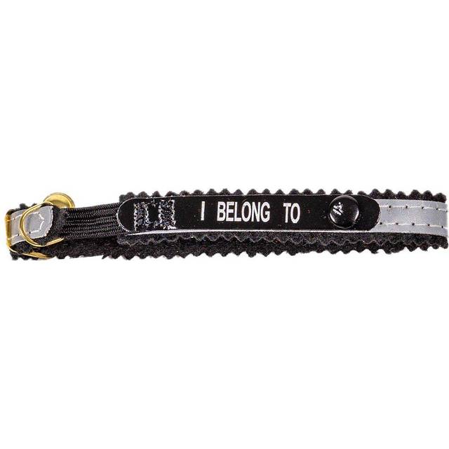 Alac Halsband Helreflex Blått "I Belong To"