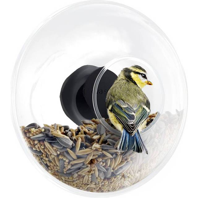 Eva Solo - Window Bird Feeder Small - transparent/schwarz/H x Ø 5,3x14,3cm - black (5.5 x 5.3 x &#8960;14.3cm)