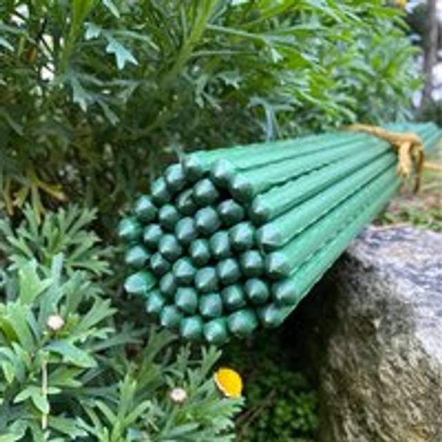 Set of 80 Plastic Coated Metal Plant Support Sticks (60cm)