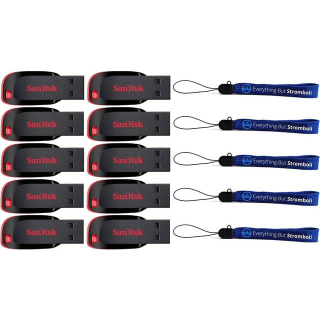 SanDisk Cruzer Blade 128GB (10 Pack Bundle) USB 2.0 Flash Drive Jump Drive Pen USB Drive (SDCZ50-128G-B35) Plus (5) Everything But Stromboli ..