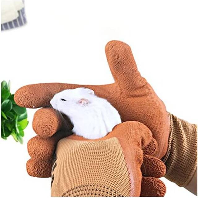 Hamster Anti-Bite Gloves, Small Pet Animal Handling, Hedgehog Squirrel Protection, Orange