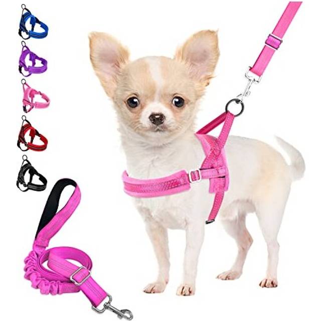 No Pull Small Dog Harness & Lead, Heavy Duty Easy for Walk Vest Harness Soft Padded Reflective Adjustable Puppy Harness Anti-Twist Pet Lead Quick Fit
