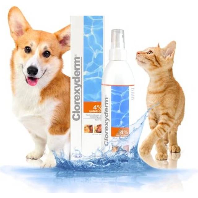 Clorexyderm 4% Antiseptic Spray for Dogs & Cats - Antibacterial & Antifungal Care for Itchy Skin Relief - 200 ml