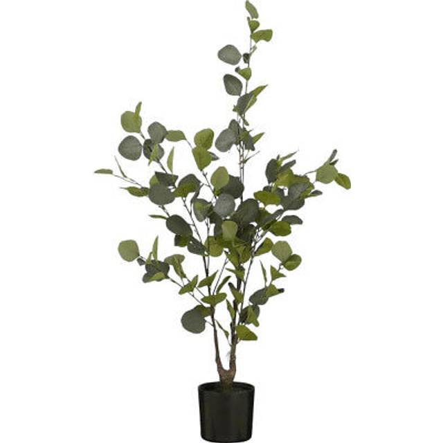 KONSTVÄXT eukalyptus 120 cm