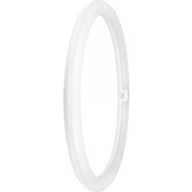 Ledvance T9 Circular LED Light Bulb LEDTUBE 4-Pin 24W (40W Eqv) Cool White
