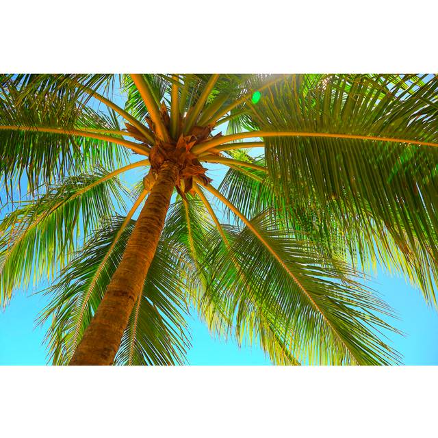 Relax In Tropical Paradise by Agustavop - Wrapped Canvas Art Prints - Green (30cm H x 46cm W)