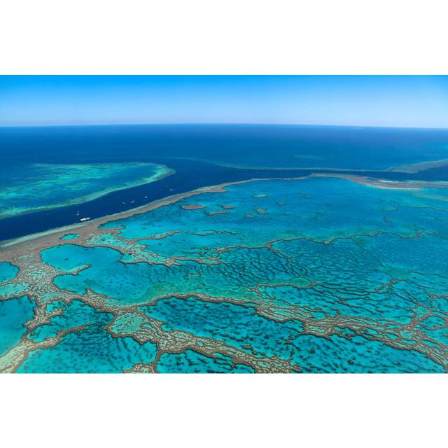 The Great Barrier Reef (20cm H x 30cm W)
