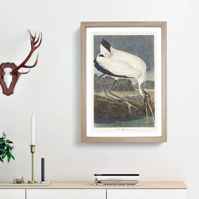 Wood Stork by John James Audubon - Picture Frame Painting Print - Oak Framed (65cm H x 48cm W x 2cm D)