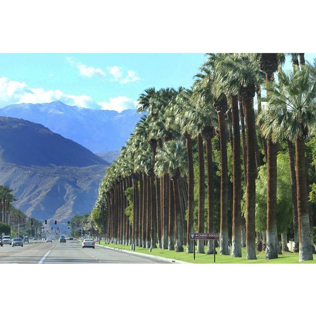 Palm Springs by MCCAIG - Print - Green (51cm H x 76cm W)
