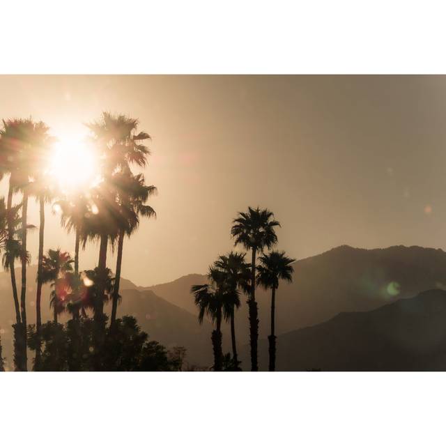 Palm Springs Scenic by Wildroze - Print - Black (20cm H x 30cm W)