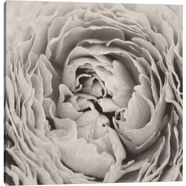 BW Peony - Print on Canvas - Wrapped Canvas (45.72cm H x 45.72cm W x 3.81cm D)