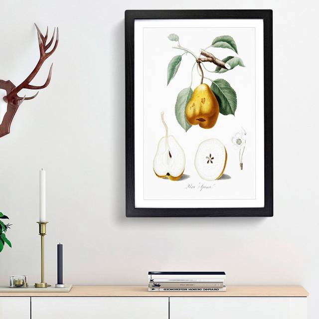 Orange Pear Tree by Giorgio Gallesio - Picture Frame Painting Print - Black Framed (65cm H x 48cm W x 2cm D)
