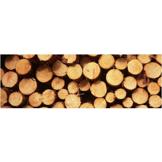 Lumbered Timber Pile, Germany - Wrapped Canvas Panoramic Photograph (30.48 cm H x 91.44 cm W x 1.91 cm D)