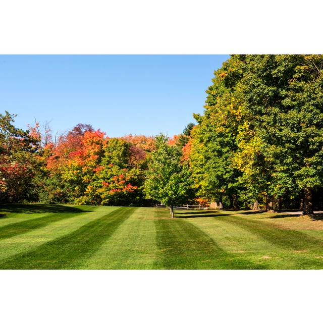 Backyard by Dora Dalton - Wrapped Canvas Photograph (30cm H x 46cm W)
