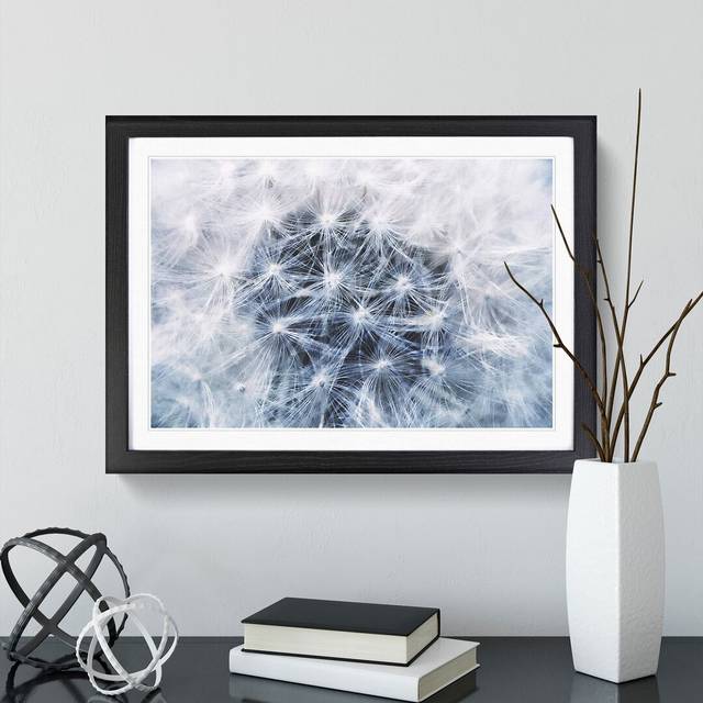 Dandelion Seeds Vol.12 - Picture Frame Graphic Art - Black Framed (36cm H x 48cm W x 2cm D)