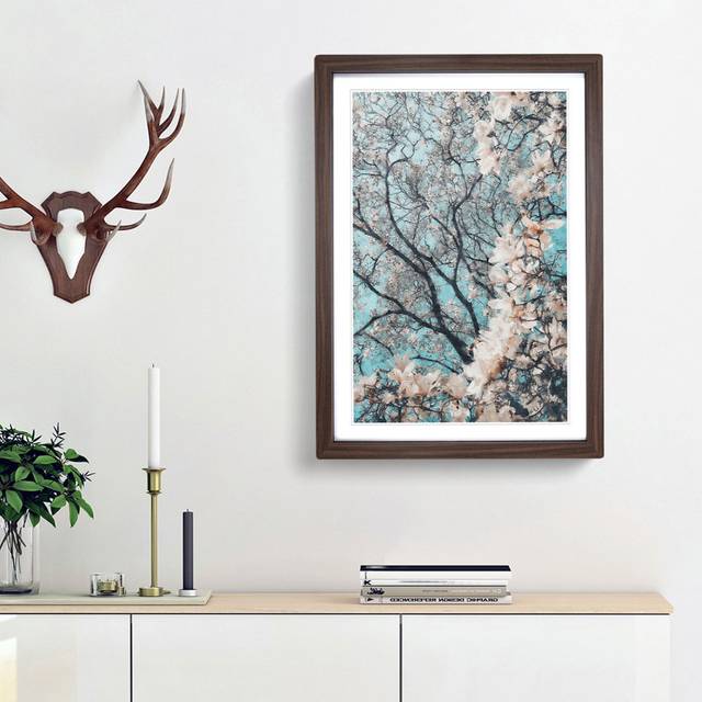 Pale Pink Magnolia Tree - Picture Frame Painting Print - Walnut Framed (33cm H x 24cm W x 2cm D)