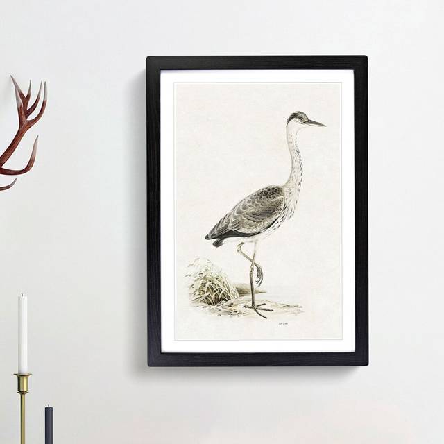 Grey Heron by Von Wright - Picture Frame Painting Print - Black Framed (87cm H x 62cm W x 2cm D)