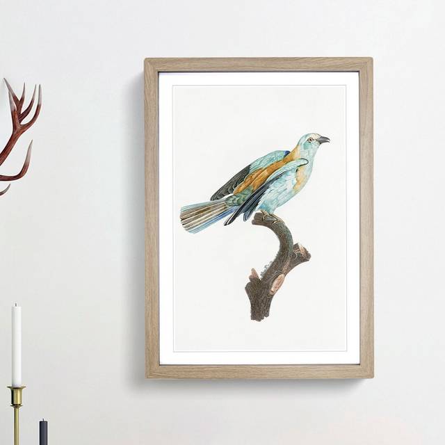 Abyssinian Roller Bird by Jacques Barraband - Picture Frame Painting Print on Paper - Oak Framed (45cm H x 33cm W x 2cm D)