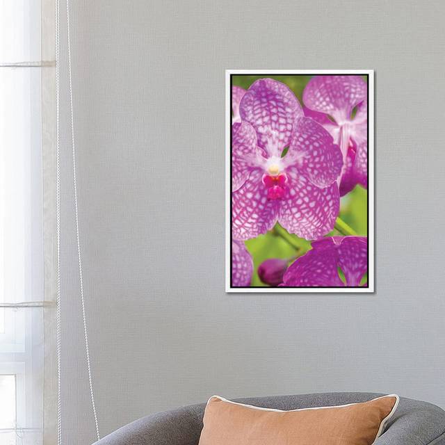 Barrier 1PC6 - White Framed (66.04 cm H x 45.72 cm W)