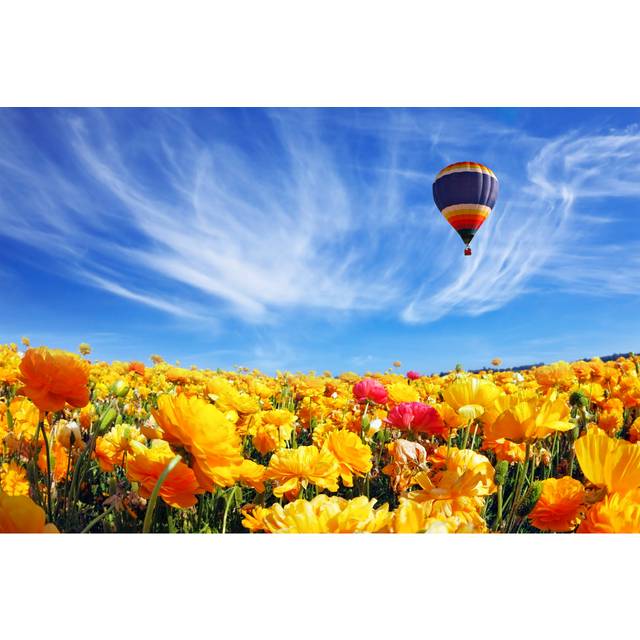 The Huge Field of White and Orange Buttercups - Wrapped Canvas Photograph (81cm H x 122cm W)