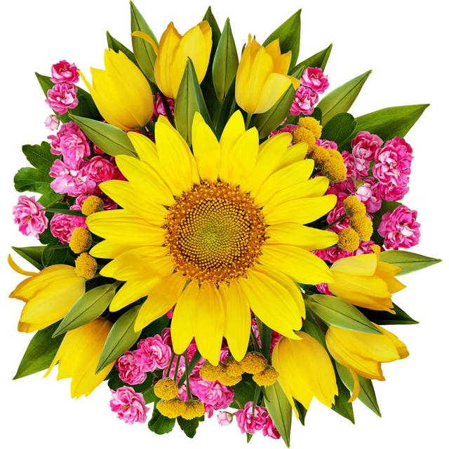 Sunflower, Tulips And Hawtorn Flowers Bouquet (51cm H x 51cm W x 3.8cm D)