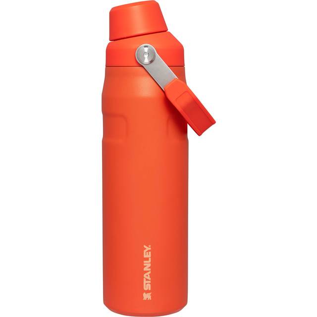 Stanley IceFlow Fast Flow Water Bottle 24 OZ  Angled Spout Lid  Lightweight  Leakproof for Travel  Gym  Insulated Stainless