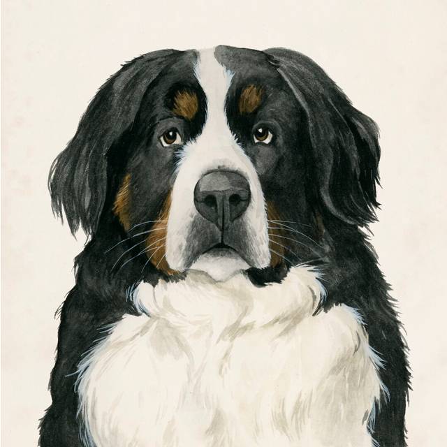 Best Bud I By Grace Popp - Wrapped Canvas Painting Print (30cm H x 30cm W x 3.8cm D)