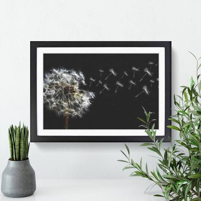 Dandelion Seeds Vol.10 - Picture Frame Graphic Art - Black Framed (36cm H x 48cm W x 2cm D)
