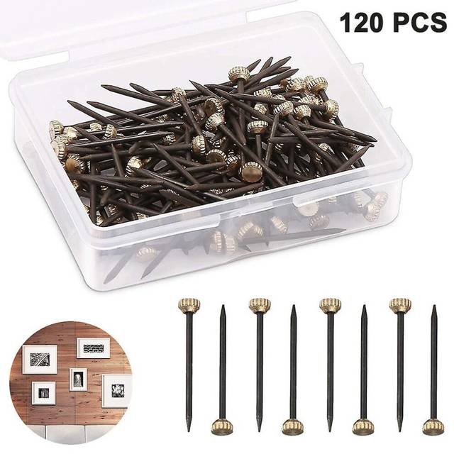 120 Pcs Picture Nails Brass Head Pins Nails With Plastic Storage Box