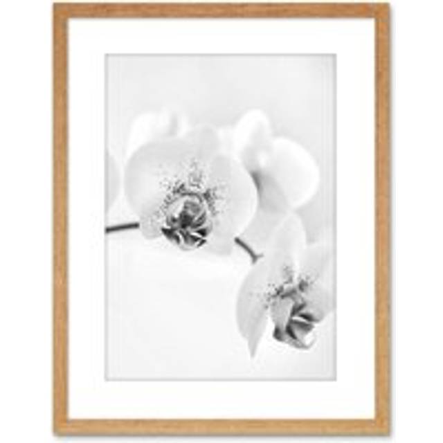 Wall Art Print Photo Nature Plant Orchid Flower Black White Artwork Framed 9X7 Inch - Tan - W7 inch x H9 inch