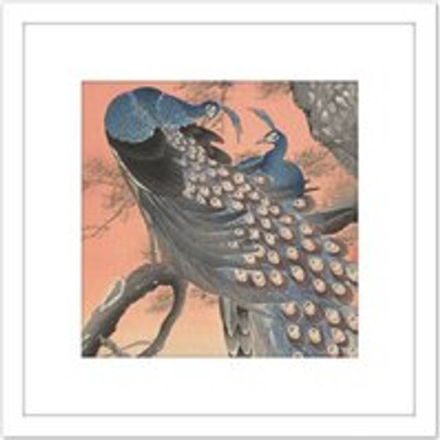 Ohara Koson Two Peacocks On Tree Branch Painting 8X8 Inch Square Wooden Framed Wall Art Print Picture with Mount - White - One Size