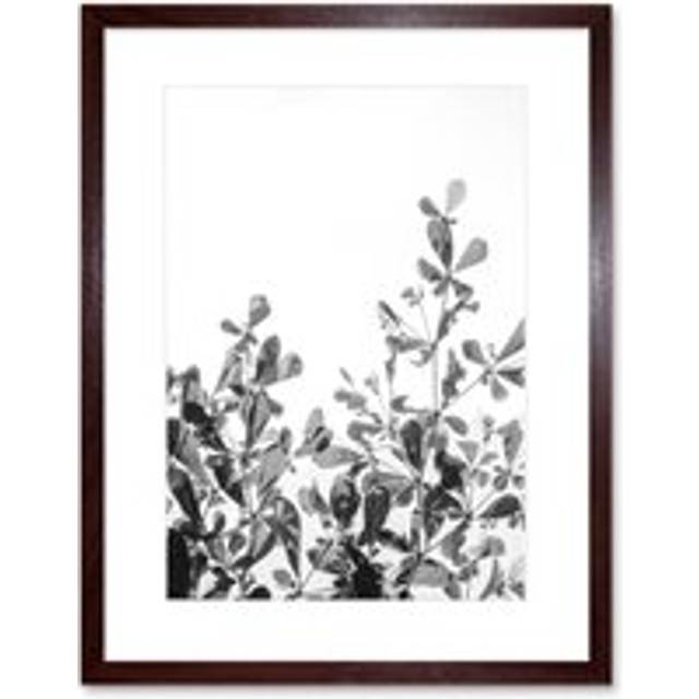 Wall Art Print Black White Photography Plant Framed - Brown - W7 inch x H9 inch