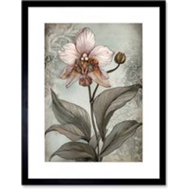 Wall Art Print Art Nouveau Pink Orchid Bloom Flower Watercolour Artwork Framed 9X7 Inch - Black - W7 inch x H9 inch