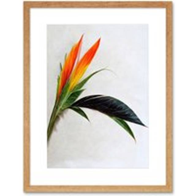 Wall Art Print Tropical Plant Bird of Paradise Flower Botanical Bloom Artwork Framed 9X7 Inch - Beige - W7 inch x H9 inch