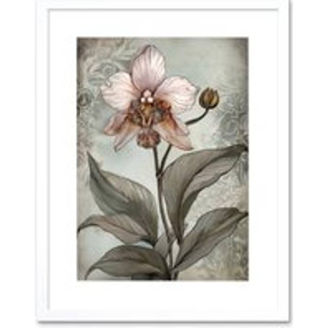 Wall Art Print Art Nouveau Pink Orchid Bloom Flower Watercolour Artwork Framed 9X7 Inch - White - W7 inch x H9 inch