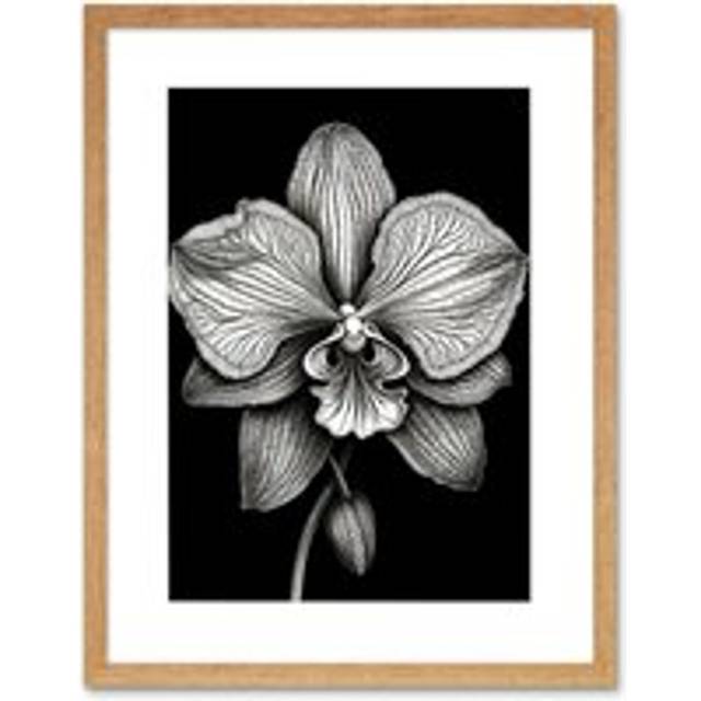 Wall Art Print Detailed Orchid Flower Petals in Black and White Artwork Framed 9X7 Inch - Beige - W7 inch x H9 inch