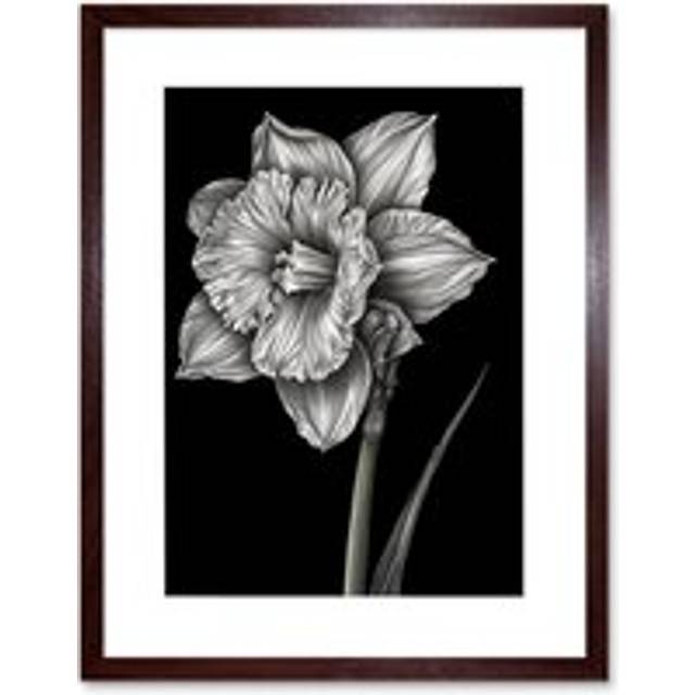 Wall Art Print Daffodil Flower Black and White Pencil Drawing Artwork Framed 9X7 Inch - Brown - W7 inch x H9 inch