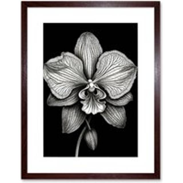 Wall Art Print Detailed Orchid Flower Petals in Black and White Artwork Framed 9X7 Inch - Brown - W7 inch x H9 inch