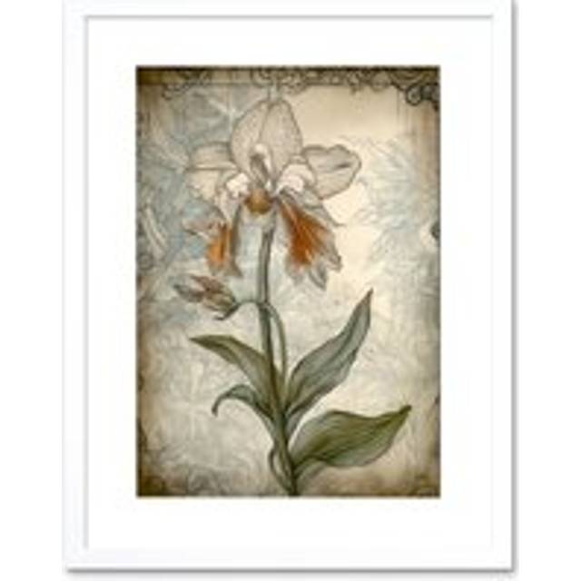 Wall Art Print Single Orchid Flower Pastel Colour Art Nouveau Artwork Framed 9X7 Inch - White - W7 inch x H9 inch