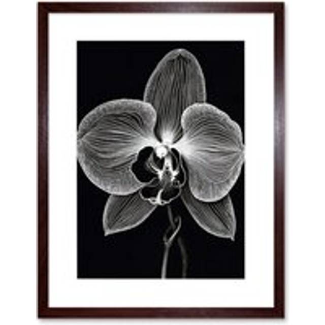 Wall Art Print Orchid Flower Bloom Black and White Blind Contour Artwork Framed 9X7 Inch - Brown - W7 inch x H9 inch