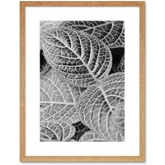 Wall Art Print Black White Photography Leaves Close Up Framed - Beige - W7 inch x H9 inch