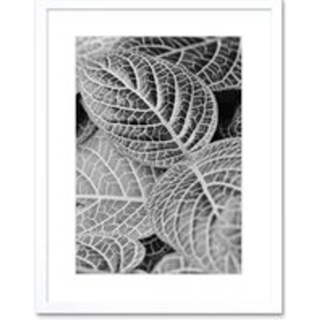 Wall Art Print Black White Photography Leaves Close Up Framed - W7 inch x H9 inch
