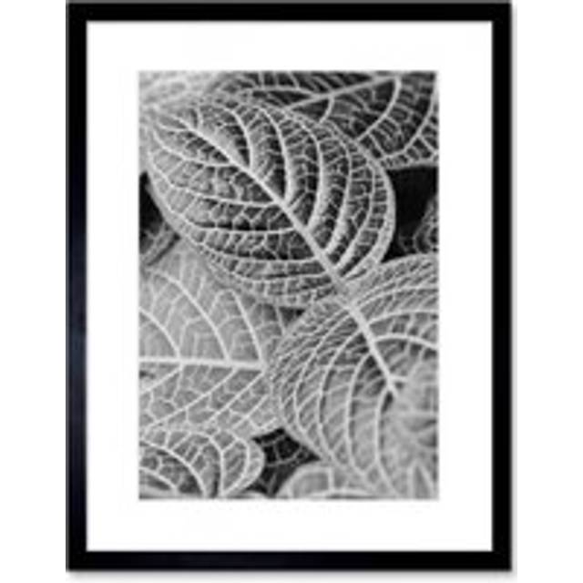 Wall Art Print Black White Photography Leaves Close Up Framed - W7 inch x H9 inch