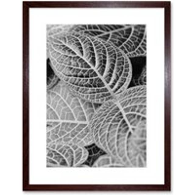 Wall Art Print Black White Photography Leaves Close Up Framed - Brown - W7 inch x H9 inch