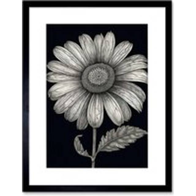 Wall Art Print Daisy Flower Bloom Black and White Pencil Drawing Artwork Framed 9X7 Inch - W7 inch x H9 inch
