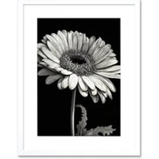 Wall Art Print Black and White Pencil Drawing of a Gerbera Flower Artwork Framed 9X7 Inch - W7 inch x H9 inch