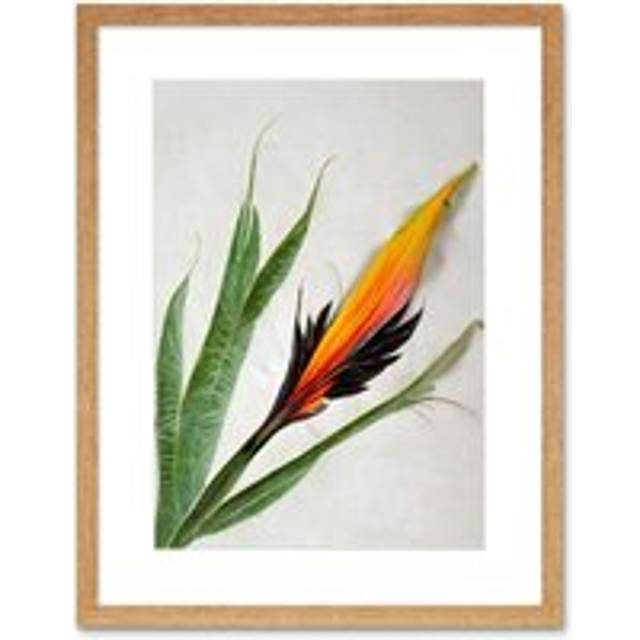 Wall Art Print Bird of Paradise Tropical Plant Flower and Leaves on White Artwork Framed 9X7 Inch - Beige - W7 inch x H9 inch