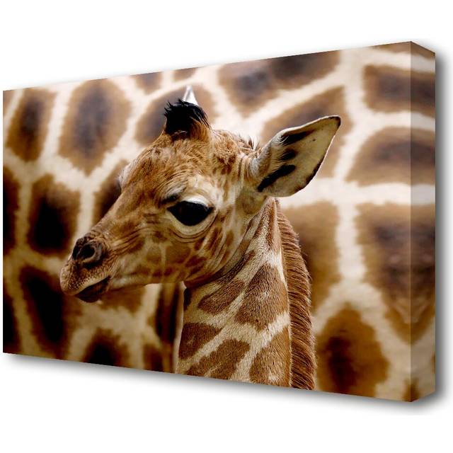Cute Giraffe Wildlife - Wrapped Canvas Photograph Print (81.3 cm H x 121.9 cm W)